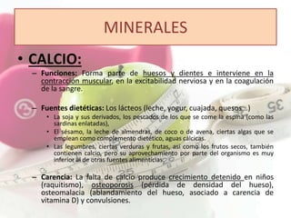 MINERALES 
• CALCIO: 
– Funciones: Forma parte de huesos y dientes e interviene en la 
contracción muscular, en la excitabilidad nerviosa y en la coagulación 
de la sangre. 
– Fuentes dietéticas: Los lácteos (leche, yogur, cuajada, quesos...) 
• La soja y sus derivados, los pescados de los que se come la espina (como las 
sardinas enlatadas), 
• El sésamo, la leche de almendras, de coco o de avena, ciertas algas que se 
emplean como complemento dietético, aguas cálcicas. 
• Las legumbres, ciertas verduras y frutas, así como los frutos secos, también 
contienen calcio, pero su aprovechamiento por parte del organismo es muy 
inferior al de otras fuentes alimenticias. 
– Carencia: La falta de calcio produce crecimiento detenido en niños 
(raquitismo), osteoporosis (pérdida de densidad del hueso), 
osteomalacia (ablandamiento del hueso, asociado a carencia de 
vitamina D) y convulsiones. 
 