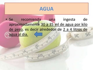 AGUA 
• Se recomienda una ingesta de 
aproximadamente 30 a 35 ml de agua por kilo 
de peso, es decir alrededor de 2 a 4 litros de 
agua al día. 
 