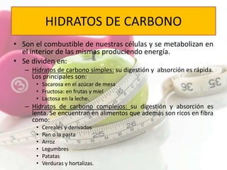 HIDRATOS DE CARBONO 
• Son el combustible de nuestras células y se metabolizan en 
el interior de las mismas produciendo energía. 
• Se dividen en: 
– Hidratos de carbono simples: su digestión y absorción es rápida. 
Los principales son: 
• Sacarosa en el azúcar de mesa 
• Fructosa: en frutas y miel 
• Lactosa en la leche. 
– Hidratos de carbono complejos: su digestión y absorción es 
lenta. Se encuentran en alimentos que además son ricos en fibra 
como: 
• Cereales y derivados 
• Pan o la pasta 
• Arroz 
• Legumbres 
• Patatas 
• Verduras y hortalizas. 
 