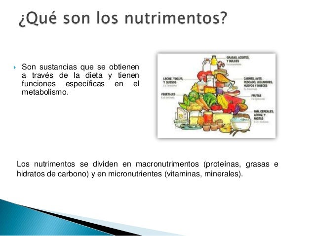 La dieta correcta y su importancia para la
