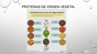 PROTEÍNAS DE ORIGEN VEGETAL
 