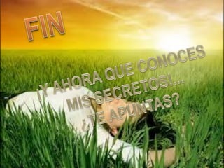 La dieta macrobiótica