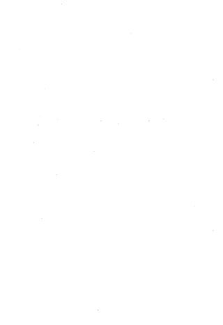 LA DIETA SOUTH BEACH.pdf