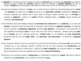 La digestió és el procés pel qual el nostre cos obté els nutrients que necessita dels aliments que ingerim, 
perquè el puguin utilitzar les cèl·lules. Aquest procés es produeix a l'aparell digestiu, que és un 
conjunt d'òrgans que s'encarreguen d'aprofitar els nutrients per al bon funcionament del nostre cos. 
El procés de la digestió comença a la boca, per on entra l'aliment. Aquest és triturat/mastegat per les dents 
i els queixals, és estovat per la saliva provinent de les glàndules salivals; mitjançant la llengua els 
aliments ensalivats són repartits per la boca. Quan la llengua empeny l'aliment cap a la faringe es 
produeix la deglució, i gràcies a la glotis l'aliment mastegat passa a l'esòfag. Aquest aliment ara 
s'anomena bol alimentari. 
El bol alimentari baixa per l'esòfag mitjançant moviments de contracció fins a l'estómac, on hi entra pel 
càrdies. L'estómac també fa movinents de contracció. Aquí finalitza la digestió mecànica. A l'estómac 
la gran quantitat de glàndules digestives secreten sucs gàstrics i converteixen el bol alimentari en 
unes pastetes anomenades quim. El quim està unes dues hores a l'estómac, i després passa pel pílor 
fins al duodè, que és la primera porció de l l'intestí prim, on s'hi aboquen els sucs intestinals 
juntament amb els sucs del fetge -bilis- i del pàncrees -suc pancreàtic- i es produeix la digestió 
química. 
A partir d'aquest moment el quim es converteix en una mena de llet pastosa, anomenada quil, que conté els 
nutrients que el cos necessita. Aquests nutrients són tan fins que travessen les membranes que 
recobreixen les parets de l'intestí prim, i gràcies als vasos sanguinis, els nutrients passen a la sang, 
que els transporta a tot el cos. Aquesta acció s'anomena absorció intestinal. 
Tot allò que no és necessari passa a l'intestí gros, on s'absorbeix la majoria de l'aigua. Més tard la resta es 
transforma en excrements i surt a l'exterior a través de l'anus. 
