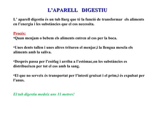 L’ aparell digestiu és un tub llarg que té la funció de transformar  els aliments en l’energia i les substàncies que el cos necessita. Procés: Quan menjam o bebem els aliments entren al cos per la boca. Unes dents tallen i unes altres trituren el menjar,i la llengua mescla els aliments amb la saliva. Després passa per l’esòfag i arriba a l’estómac,on les substàncies es distribueixen per tot el cos amb la sang. El que no serveix és transportat per l’intestí gruixat i el prim,i és expulsat per l’anus. El tub digestiu medeix uns 11 metres! L’APARELL  DIGESTIU 