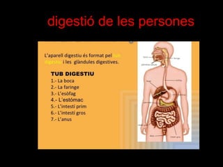 La digestió de les persones
 
