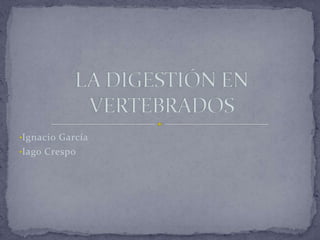 •Ignacio García
•Iago Crespo
 