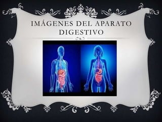 IMÁGENES DEL APARATO
DIGESTIVO
 