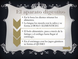 • En la boca los dientes trituran los
alimentos.
• La lengua los mezcla con la saliva y se
forma el BOLO ALIMENTICIO.
• El bolo alimenticio, pasa a través de la
faringe y el esófago hasta llegar al
estómago.
• En el estómago con los jugos gástricos
se forma el QUIMO
 