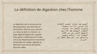 La digestion des aliments au niveau de l’Estomac 1.pptx