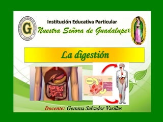 Docente: Gemma Salvador Varillas
La digestión
 