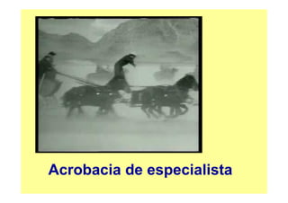 Acrobacia de especialista
 