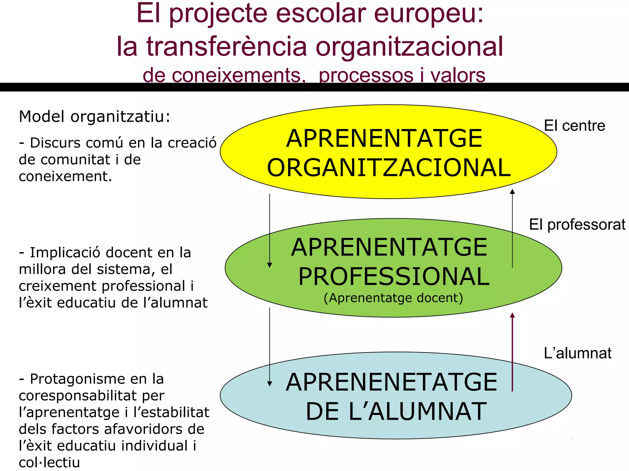 El projecte escolar europeu:
la transferència organitzacional
de coneixements, processos i valors
APRENENTATGE
ORGANITZACIONAL
APRENENTATGE
PROFESSIONAL
(Aprenentatge docent)
APRENENETATGE
DE L’ALUMNAT
Model organitzatiu:
- Discurs comú en la creació
de comunitat i de
coneixement.
- Implicació docent en la
millora del sistema, el
creixement professional i
l’èxit educatiu de l’alumnat
- Protagonisme en la
coresponsabilitat per
l’aprenentatge i l’estabilitat
dels factors afavoridors de
l’èxit educatiu individual i
col·lectiu
El centre
El professorat
L’alumnat
 
