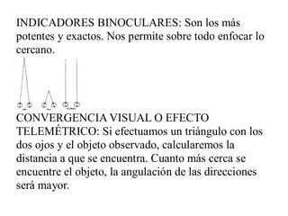 INDICADORES BINOCULARES: Son los más
potentes y exactos. Nos permite sobre todo enfocar lo
cercano.
CONVERGENCIA VISUAL O EFECTO
TELEMÉTRICO: Si efectuamos un triángulo con los
dos ojos y el objeto observado, calcularemos la
distancia a que se encuentra. Cuanto más cerca se
encuentre el objeto, la angulación de las direcciones
será mayor.
 