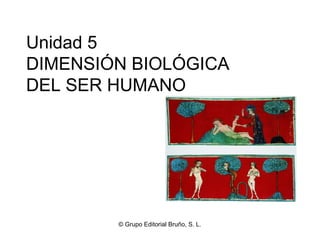 Unidad 5
DIMENSIÓN BIOLÓGICA
DEL SER HUMANO




        © Grupo Editorial Bruño, S. L.
 