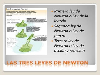  Primera ley de
  Newton o Ley de la
  inercia
 Segunda ley de
  Newton o Ley de
  fuerza
 Tercera ley de
  Newton o Ley de
  acción y reacción
 