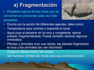 • Paulatina ruptura de las rocas que se
convierten en porciones cada vez más
pequeñas
• Ocurre por la acción de diferentes agentes, tales como:
- Temperatura (que contrae y expande la roca)
- Agua (que al penetrar en la roca y congelarse, ejerce
presión, fragmentándola. Puede también disolver algunos
minerales)
- Plantas y animales (con sus raíces, las plantas fragmentan
la roca y los animales las van triturando
- Oxígeno (descompone las rocas)
- Ser humano (rompe las rocas para sus construcciones)
a) Fragmentacióna) Fragmentación
 