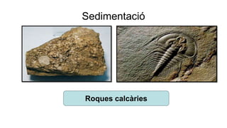 Sedimentació
Roques calcàries
 
