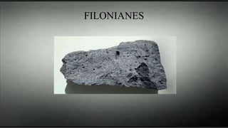 FILONIANES
 