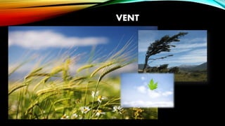 VENT
 