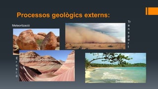 Processos geològics externs:
Meteorització
E
r
o
s
i
ó
Tr
a
n
s
p
o
r
t
Sedimentació
 