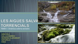 TEMA-1: Dinàmica externa terrestre
 