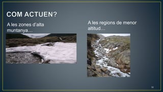 32
A les zones d’alta
muntanya…
A les regions de menor
altitud…
 