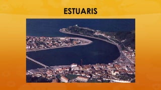 ESTUARIS
 