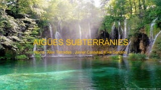 AIGÜES SUBTERRÀNIES
Noms: Àlex Tarradas , Javier Castelar, Kike Serrano
 