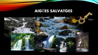 AIGÜES SALVATGES
*Llera
 