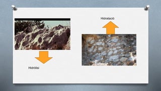 Hidròlisi
Hidratació
 