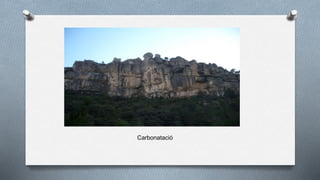 Carbonatació
 