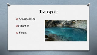 Transport
O Arrossegant-se
O Filtrant-se
O Flotant
 