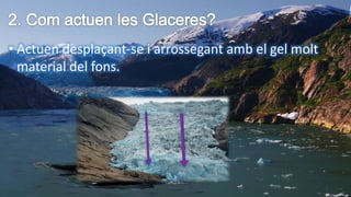 • Actuen desplaçant-se i arrossegant amb el gel molt
material del fons.
 