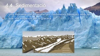 • Una morrena són els materials i sediments barrejats amb neu
que són empesos per la glacera.
 