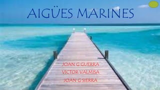 AIGÜES MARINES
JOAN G GUERRA
VICTOR VALMISA
JOAN G SIERRA
 
