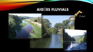 AIGÜES FLUVIALS
*Cabal
 