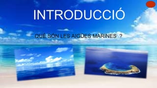 jjjj
INTRODUCCIÓ
QUÈ SÓN LES AIGÜES MARINES ?
 