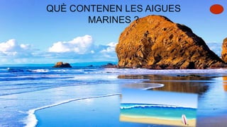 QUÈ CONTENEN LES AIGUES
MARINES ?
 