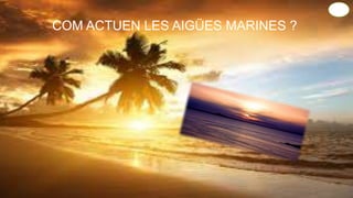 COM ACTUEN LES AIGÜES MARINES ?
 