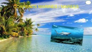 CORRENTS MARINES I MAREES
 