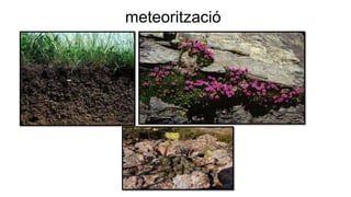 meteorització
 