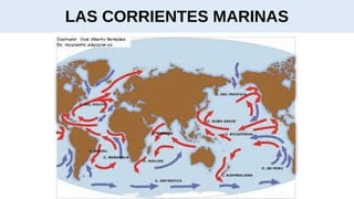 LAS CORRIENTES MARINAS
 
