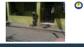 LA DISCIPLINA EN LA IGLESIA
3
 