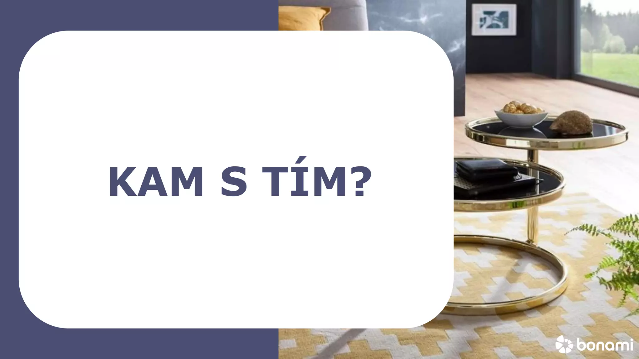 bonami_logo
KAM S TÍM?