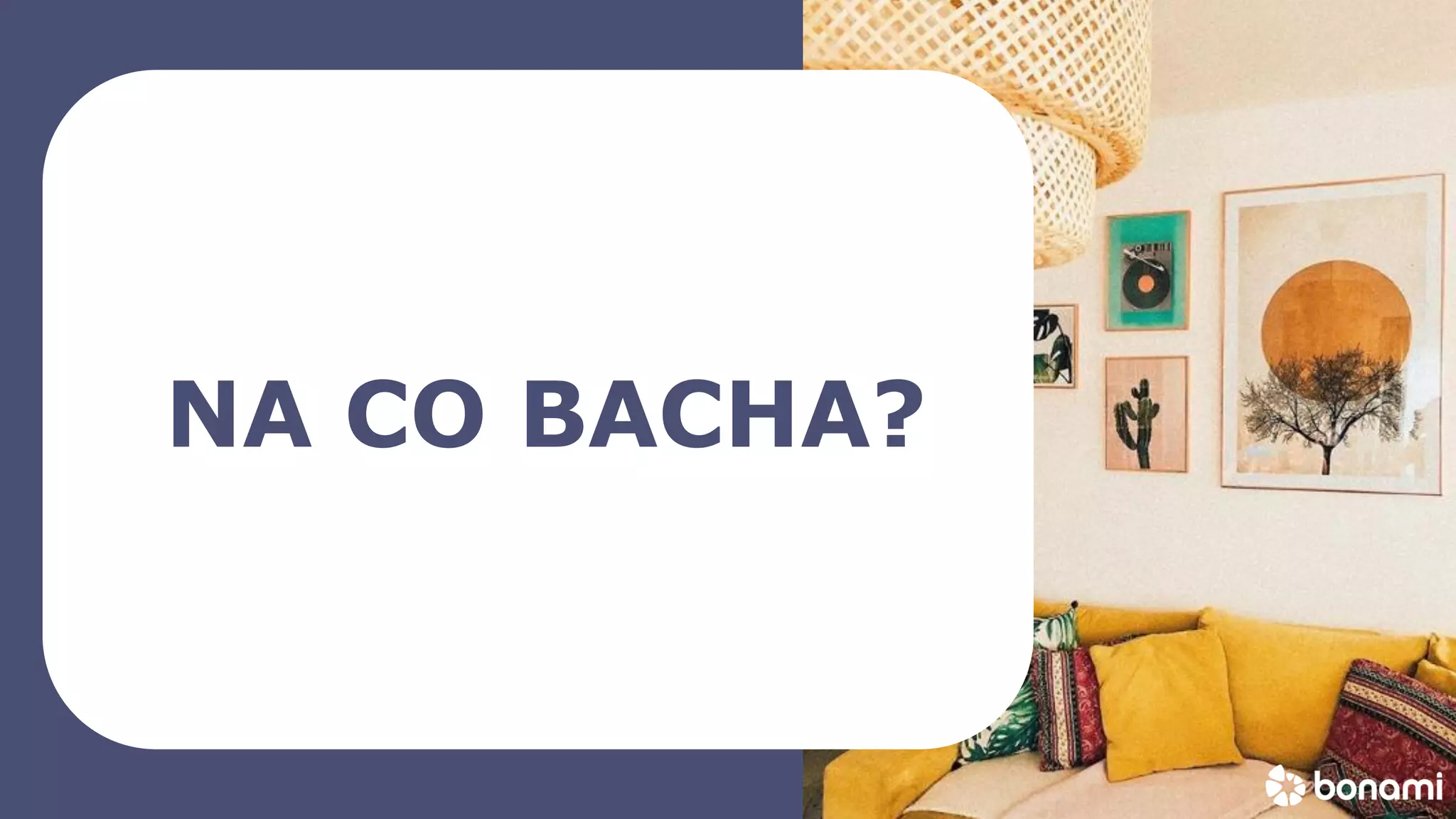 bonami_logo
NA CO BACHA?