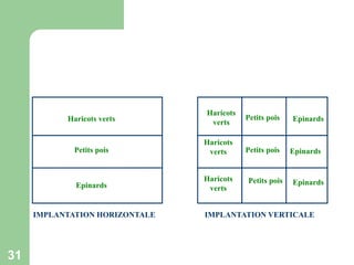 Haricots verts

Haricots
verts

Petits pois

Haricots
verts

Epinards

Haricots
verts

IMPLANTATION HORIZONTALE

31

Petits pois

Petits pois

Petits pois

Epinards

Epinards

Epinards

IMPLANTATION VERTICALE

 