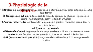 Daurese Rene la diurèse.pptxxxxxxxxxxxxxxxxxxxxxxxxxx | PPTX