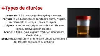 Daurese Rene la diurèse.pptxxxxxxxxxxxxxxxxxxxxxxxxxx | PPTX