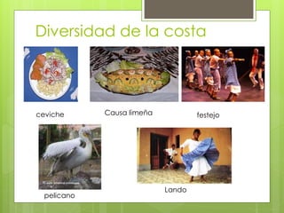 Diversidad de la costa
ceviche Causa limeña festejo
pelicano
Lando
 